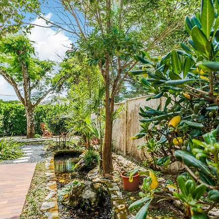 Pet Friendly In * Saint-Palais-sur-Mer